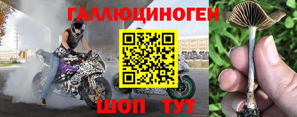 Галлюциногенные грибы ЛСД Кыштым
